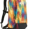 REI Co-op Flash 18 Pack - Pride Graphic Edition