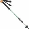 REI Co-op Hiker Power Lock Staff - Single